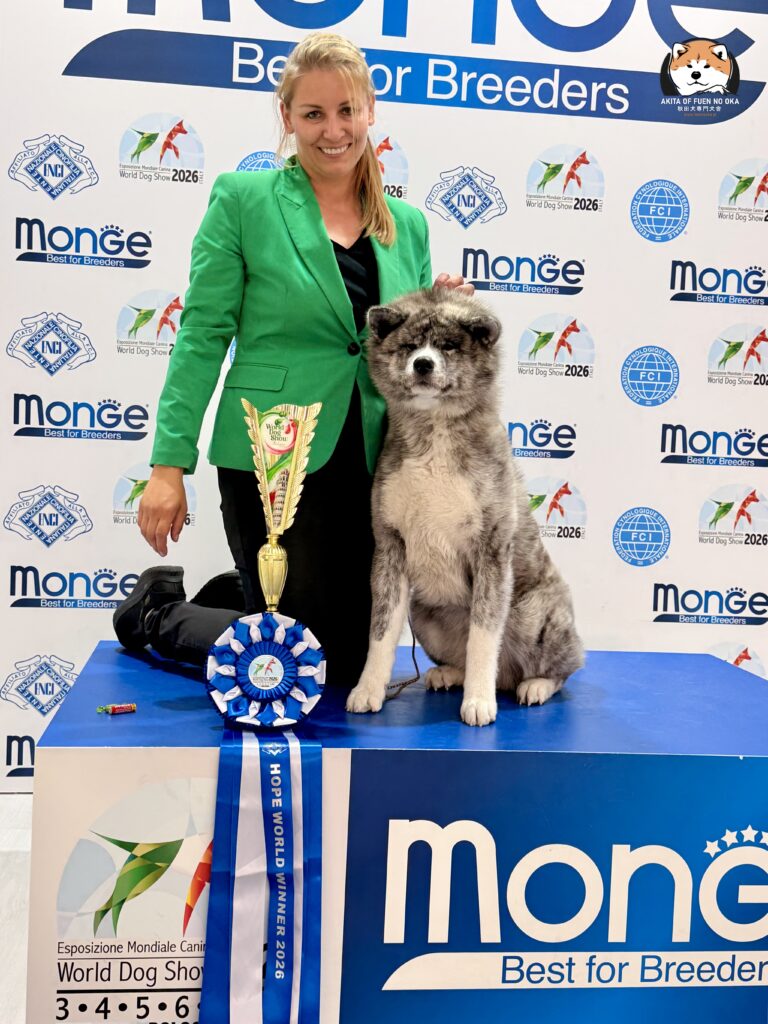 SUZUNA - World Hope Winner 2026, Akita inu