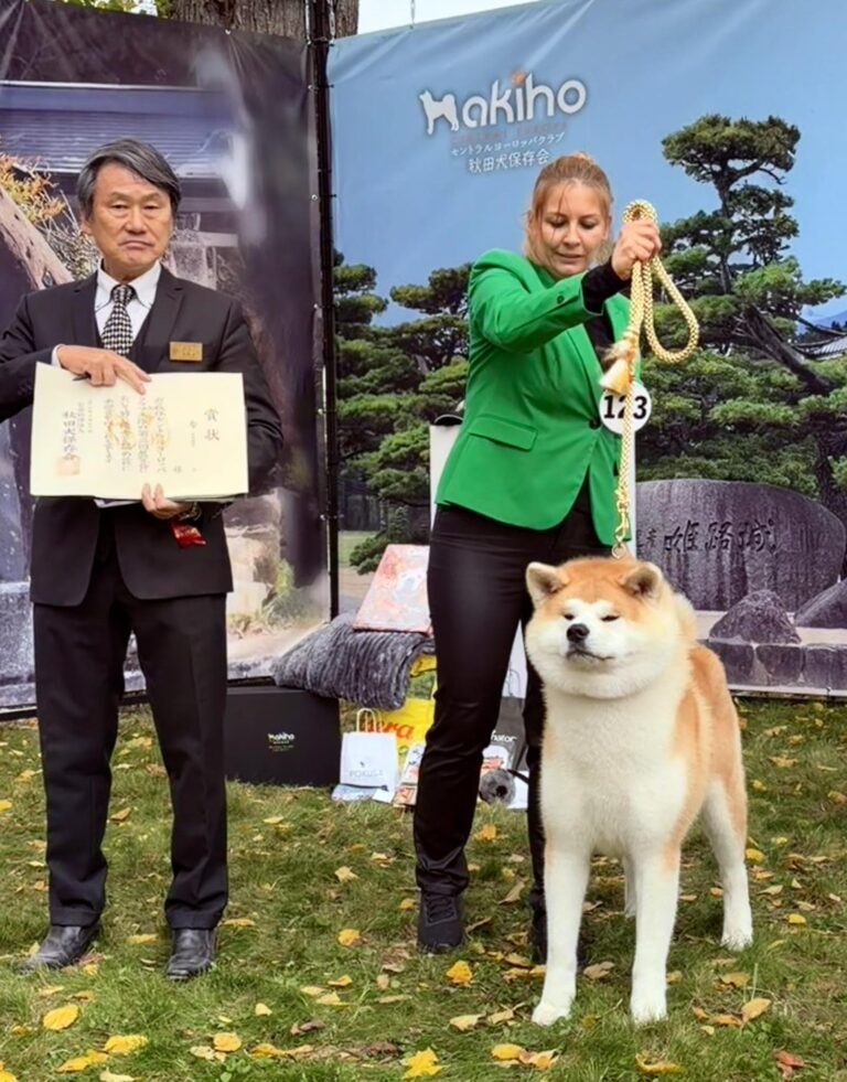WAKAHIRYUU GO Fuen No Oka