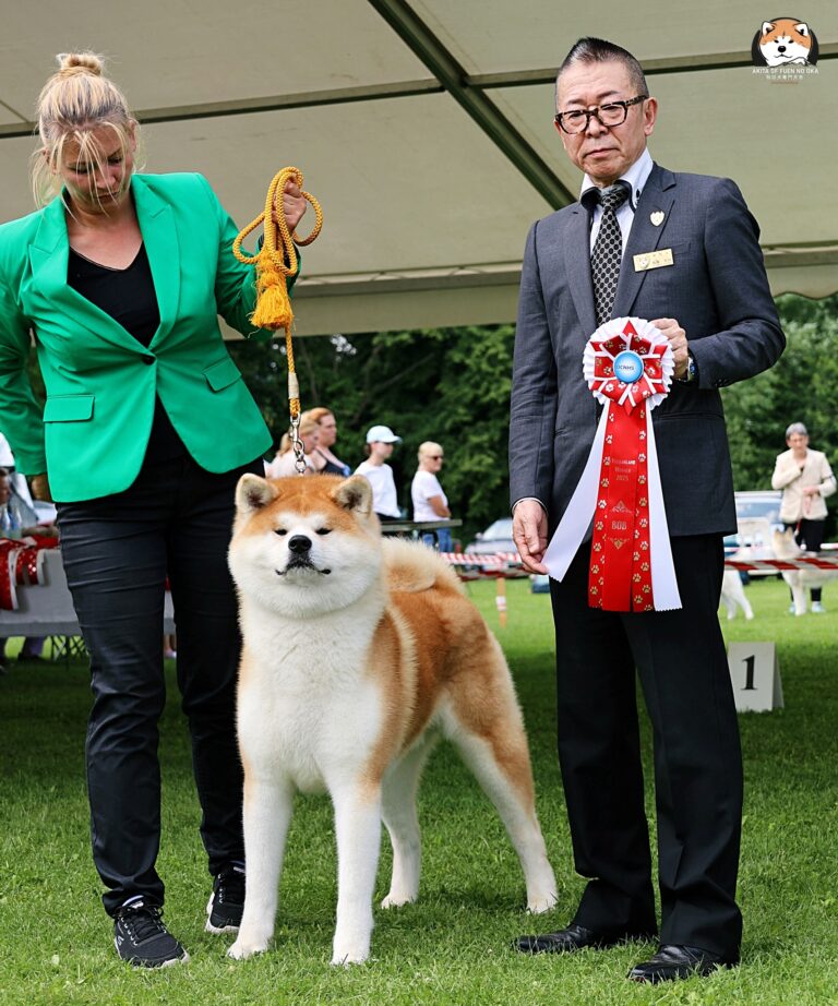 BOB at Specialty Show in Austria 2025