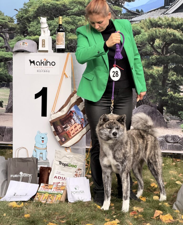 KUROZANA - AKIHO WINNER 2026