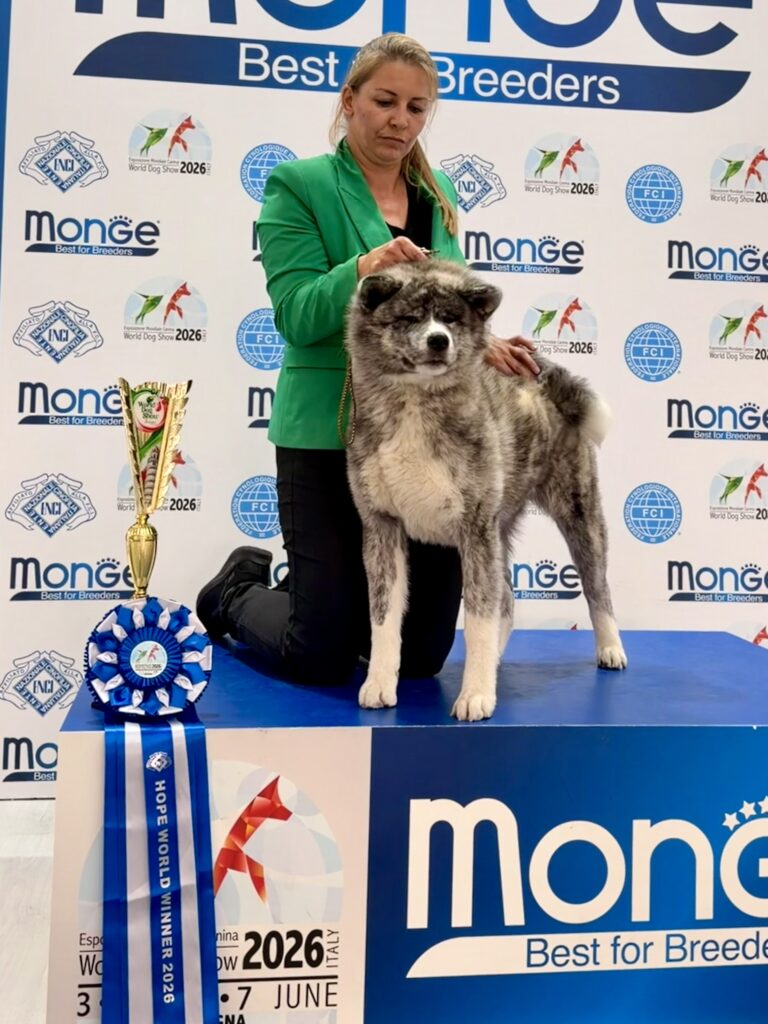 SUZUNA - WDS 2026