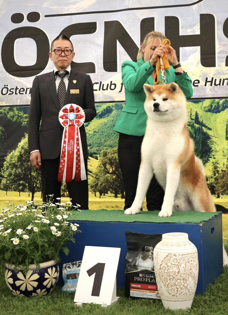 WAKAHIRYUU GO Fuen No Oka