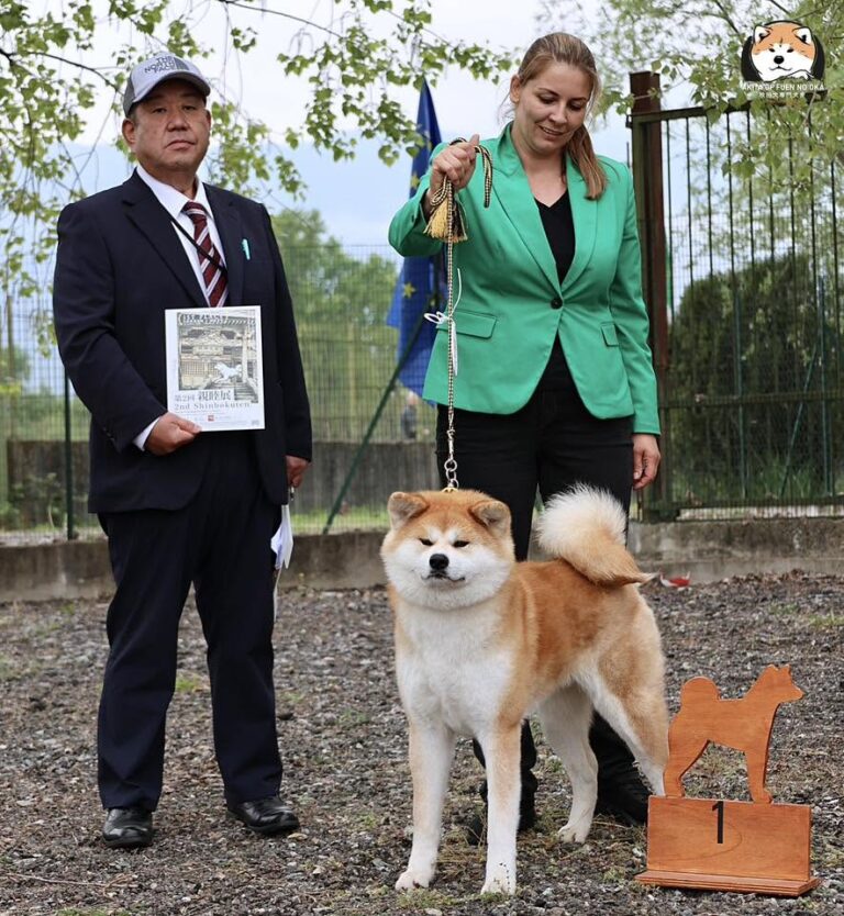 YAEZURU GO Fuen No Oka